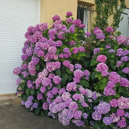 Semesterbostad Casa Elena Ajola