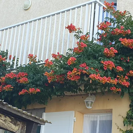 Casa Elena Semesterbostad *