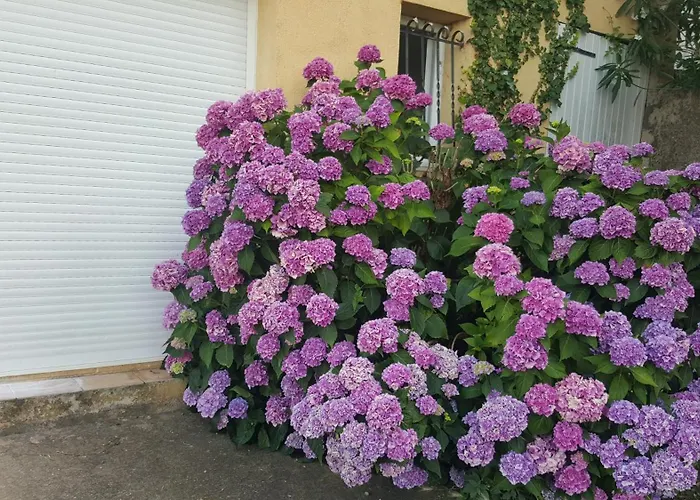 Hébergement de vacances Casa Elena Ajola