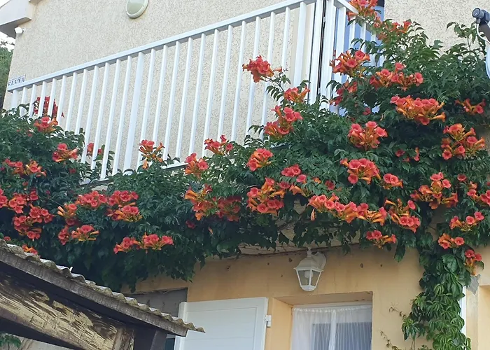 Casa Elena Hébergement de vacances *